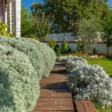 Una Ira Relax Režanci